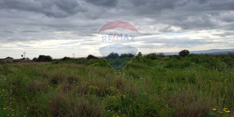 20250330184911-939682-7