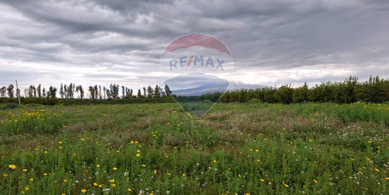 20250330184925-939682-10