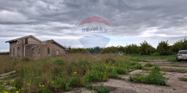 20250330185020-939682-22