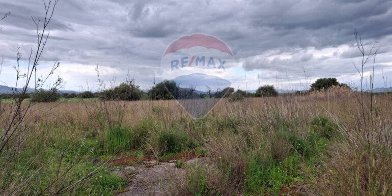 20250330185024-939682-23