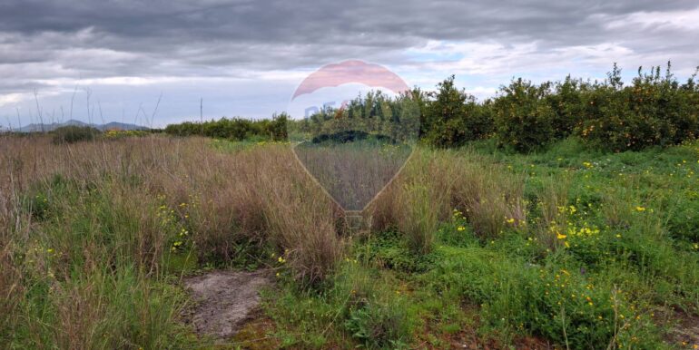 20250330185029-939682-24