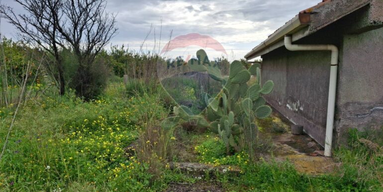 20250330185034-939682-25