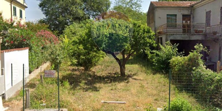 20250331114117-939825-1