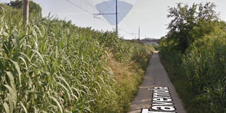 20250331115308-939848-1