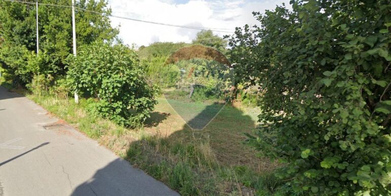 20250331115349-939848-8