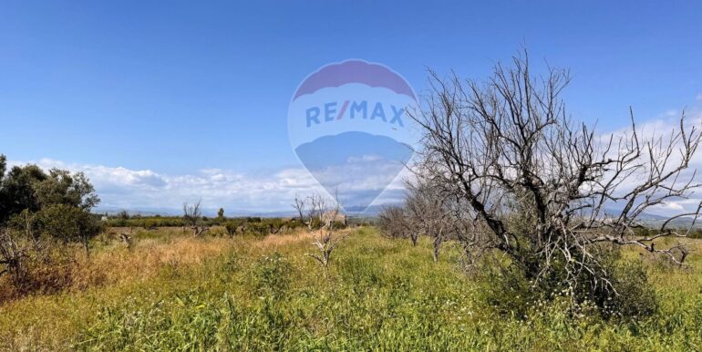 20250403184158-941673-1