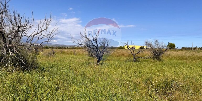 20250403184202-941673-2