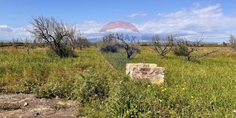 20250403184207-941673-3