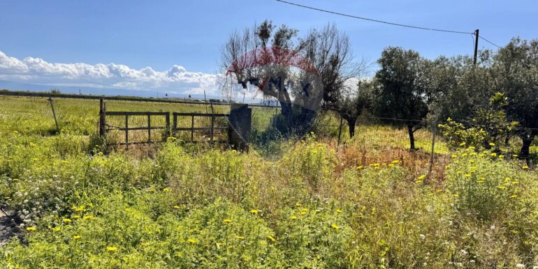 20250403184212-941673-4