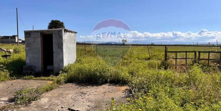 20250403184217-941673-5