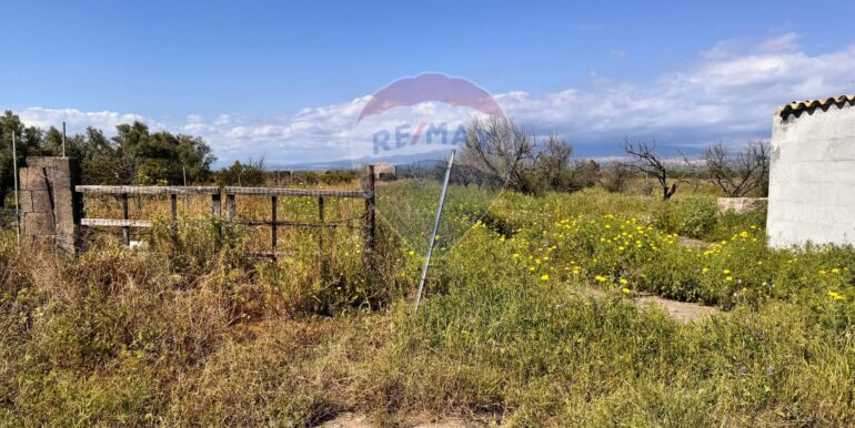 20250403184230-941673-8