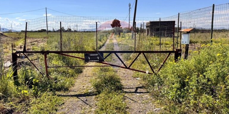 20250403184235-941673-9