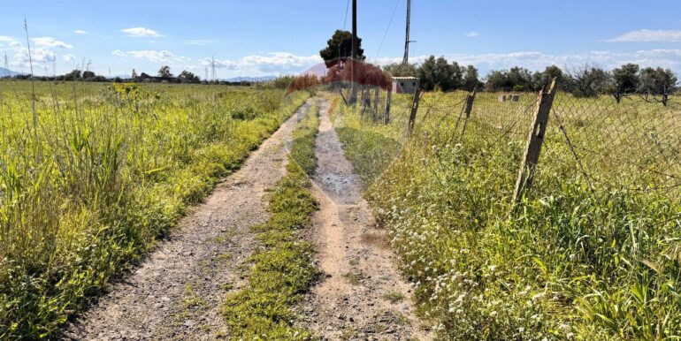 20250403184241-941673-10