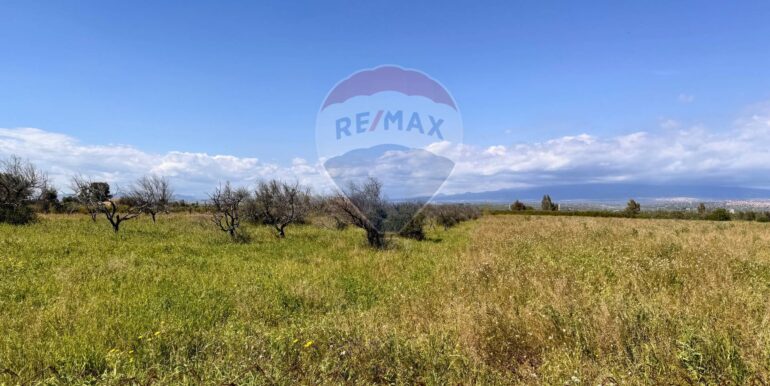 20250403184245-941673-11