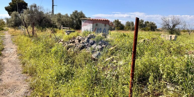 20250403184249-941673-12