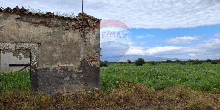 20250422144406-944964-11