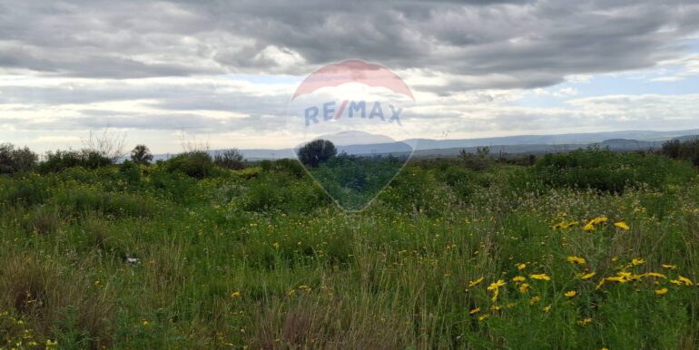 20250422144423-944964-16