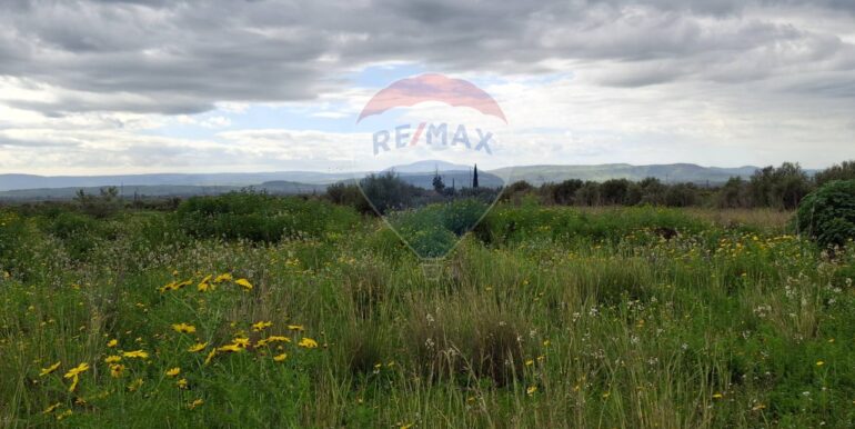 20250422144428-944964-17