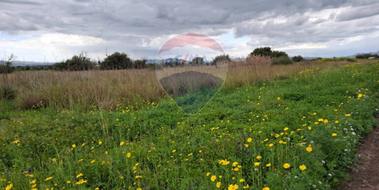 20250422144446-944964-21