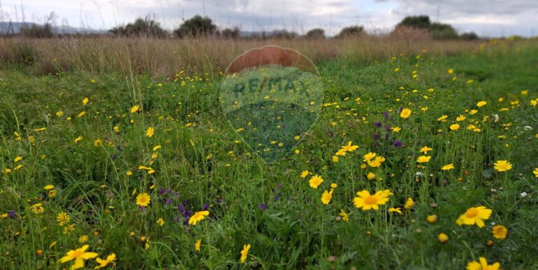 20250422144450-944964-22