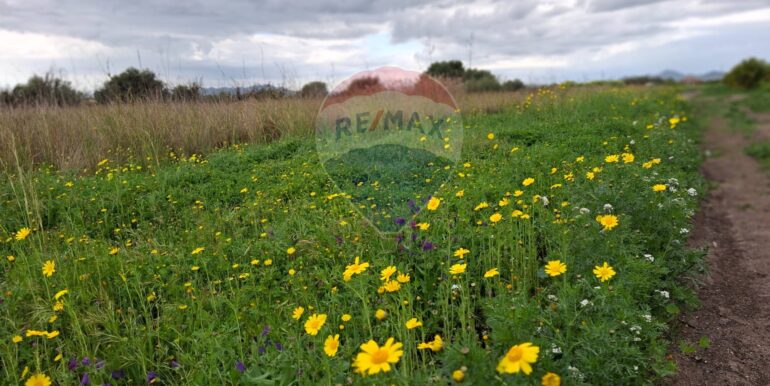 20250422144453-944964-23