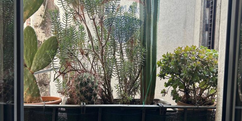 20250519103821-949865-11