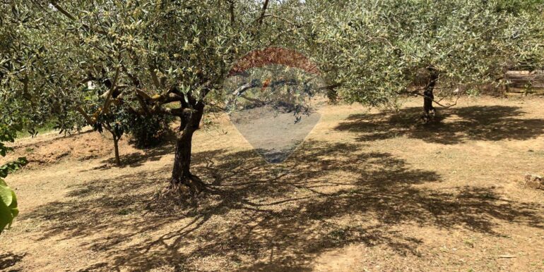 20250519113539-948039-8