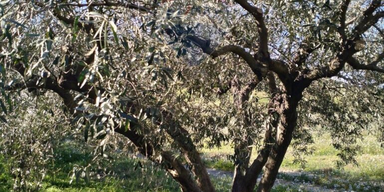 20250603162756-953750-3