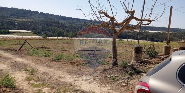 20250605111919-955709-0