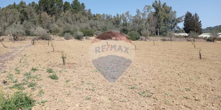 20250605111919-955709-1