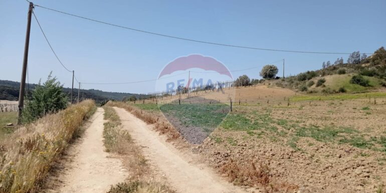 20250605111919-955709-2