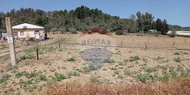 20250605111920-955709-3