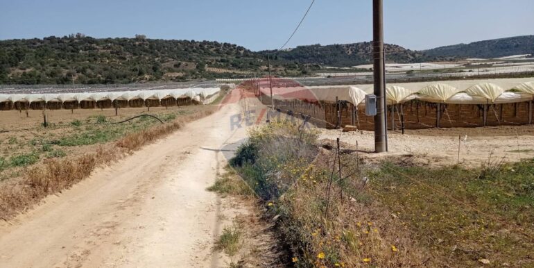 20250605111920-955709-4