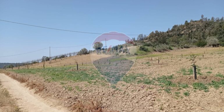 20250605111920-955709-5