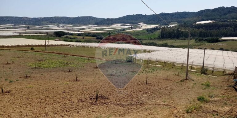 20250605111920-955709-6