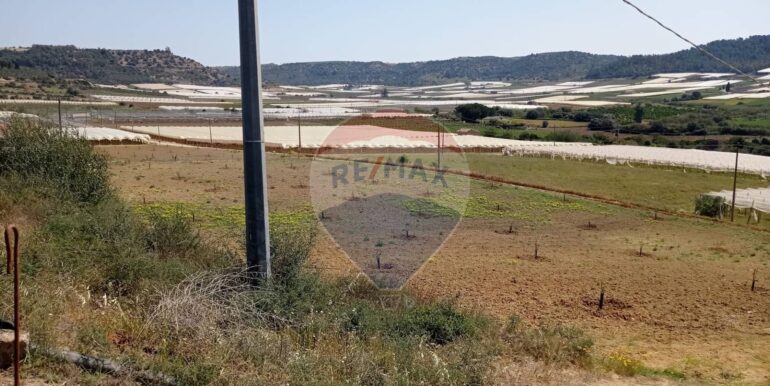 20250605111921-955709-8