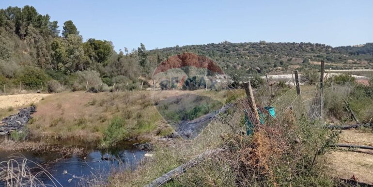 20250605111921-955709-9