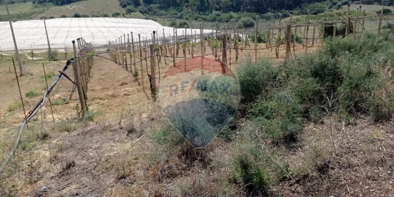 20250605111922-955709-11