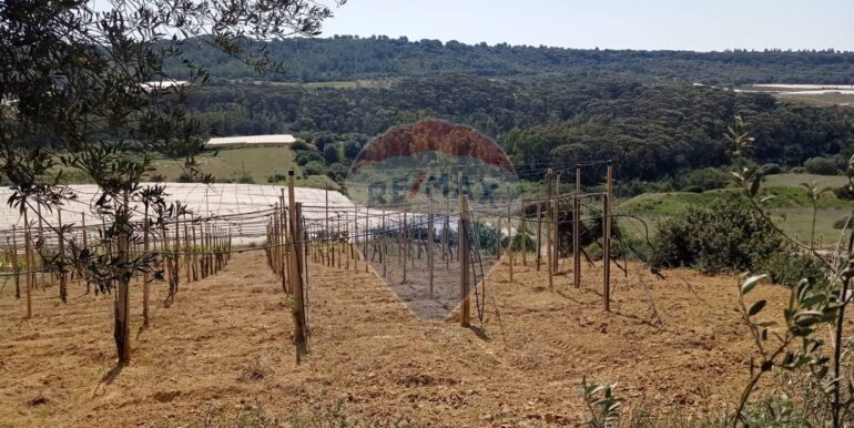 20250605111922-955709-13