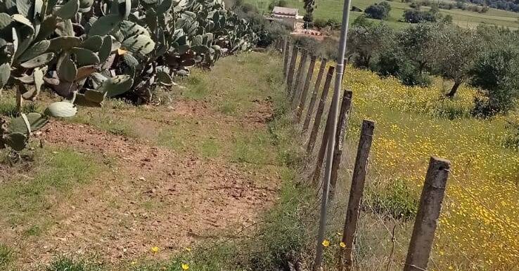 20250605112559-955711-0