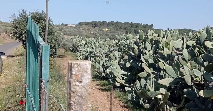 20250605112600-955711-5