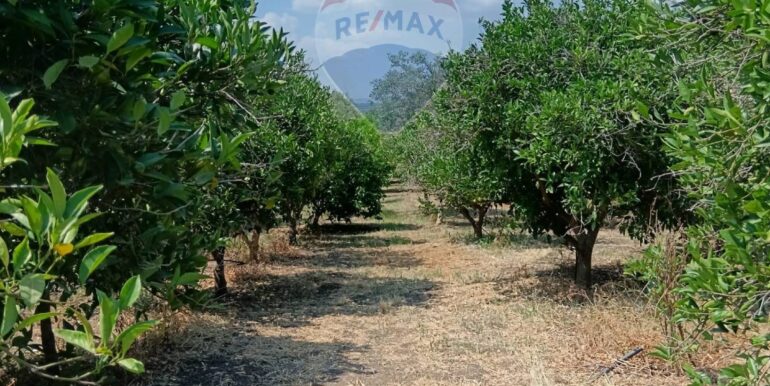 20250614123300-945092-16