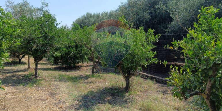 20250614123303-945092-17