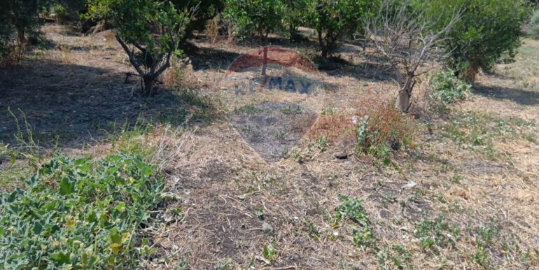 20250614123310-945092-20