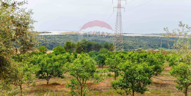 20250621195550-960376-1