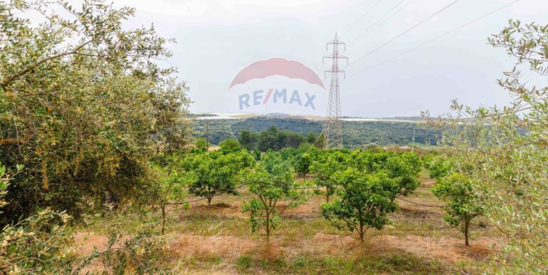 20250621195557-960376-2