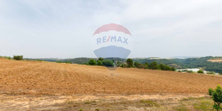 20250621195602-960376-3