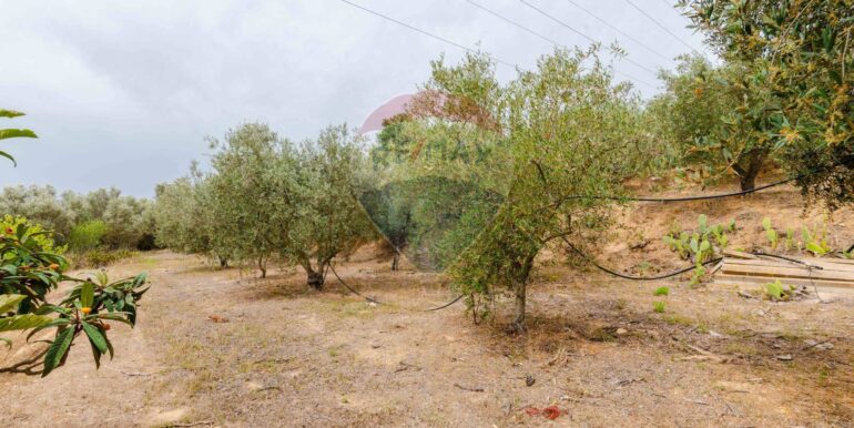 20250621195613-960376-5