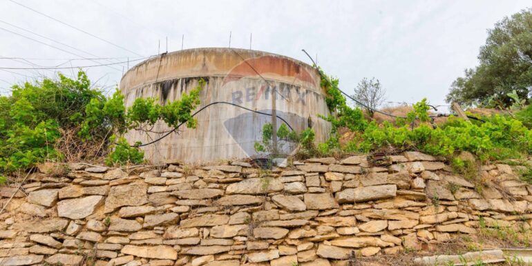 20250621195627-960376-7