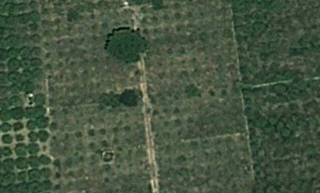 F_510699